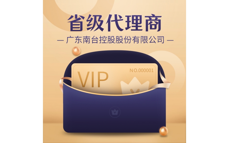 南臺(tái)控股-省級(jí)分公司